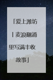 爱上潍坊丨麦浪翻涌里写满丰收故事