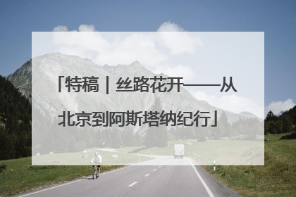 特稿｜丝路花开——从北京到阿斯塔纳纪行