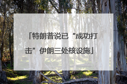 特朗普说已“成功打击”伊朗三处核设施