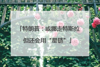 特朗普：或挪走特斯拉 但还会用“星链”