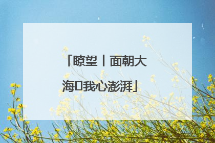 瞭望丨面朝大海 我心澎湃