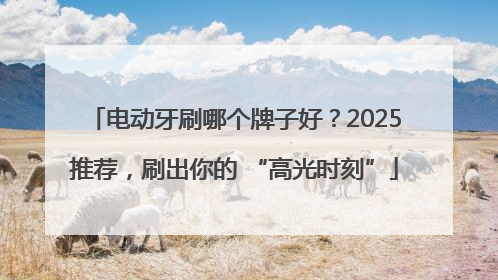 电动牙刷哪个牌子好？2025推荐，刷出你的 “高光时刻”