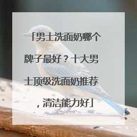 男士洗面奶哪个牌子最好？十大男士顶级洗面奶推荐，清洁能力好