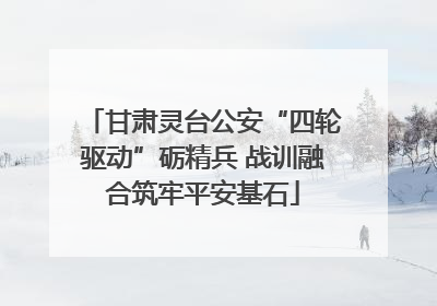 甘肃灵台公安“四轮驱动”砺精兵 战训融合筑牢平安基石