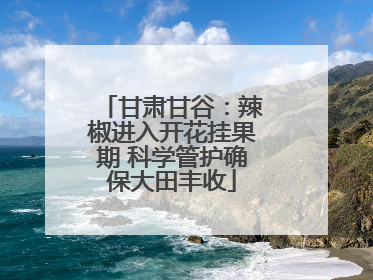 甘肃甘谷：辣椒进入开花挂果期 科学管护确保大田丰收