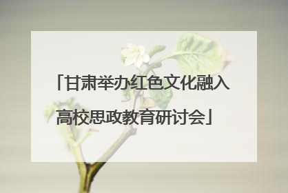 甘肃举办红色文化融入高校思政教育研讨会