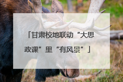 甘肃校地联动“大思政课”里“有风景”