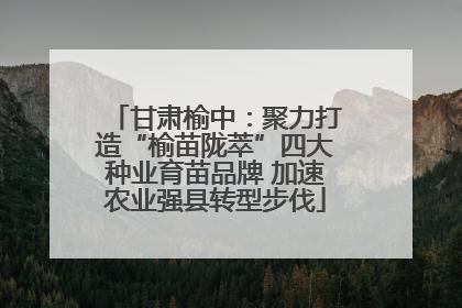 甘肃榆中：聚力打造“榆苗陇萃”四大种业育苗品牌 加速农业强县转型步伐