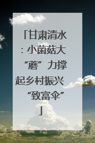 甘肃清水：小菌菇大“蘑”力撑起乡村振兴“致富伞”