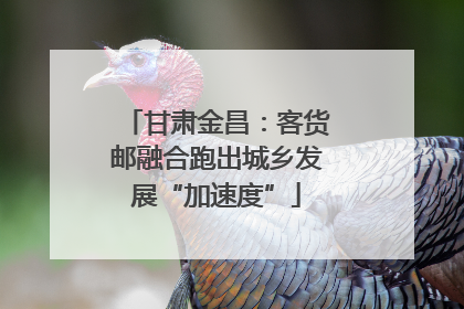 甘肃金昌：客货邮融合跑出城乡发展“加速度”