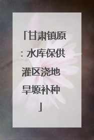 甘肃镇原：水库保供 灌区浇地 旱塬补种