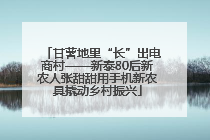 甘薯地里“长”出电商村——新泰80后新农人张甜甜用手机新农具撬动乡村振兴