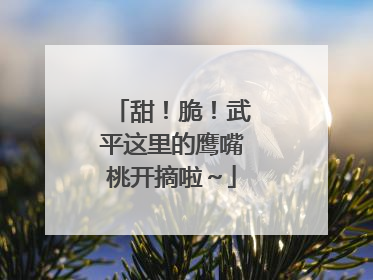 甜！脆！武平这里的鹰嘴桃开摘啦～