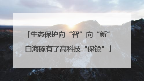 生态保护向“智”向“新” 白海豚有了高科技“保镖”