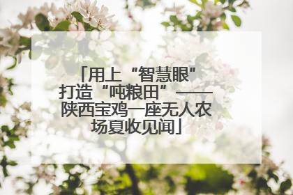 用上“智慧眼” 打造“吨粮田”——陕西宝鸡一座无人农场夏收见闻