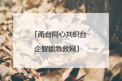 甬台同心共织台企智能急救网