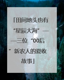 田间地头也有“星辰大海”——三位“00后”新农人的夏收故事
