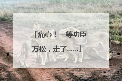 痛心！一等功臣万松，走了……