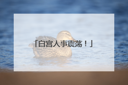 白宫人事震荡！