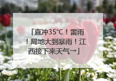 直冲35℃！雷雨！局地大到暴雨！江西接下来天气→