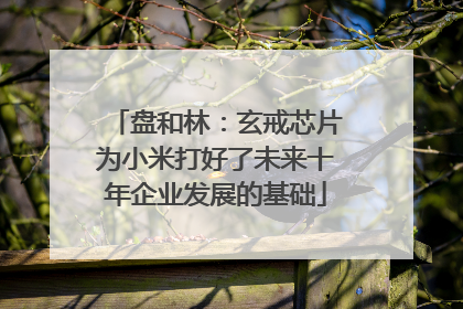 盘和林：玄戒芯片为小米打好了未来十年企业发展的基础