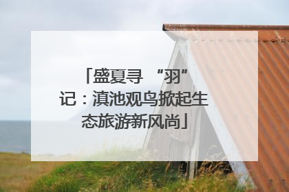 盛夏寻 “羽” 记：滇池观鸟掀起生态旅游新风尚