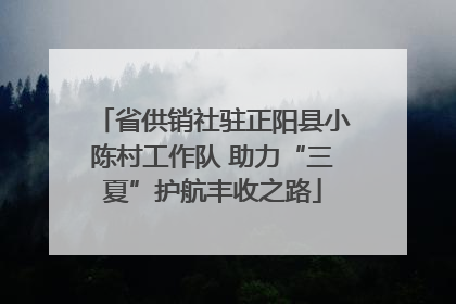 省供销社驻正阳县小陈村工作队 助力“三夏”护航丰收之路