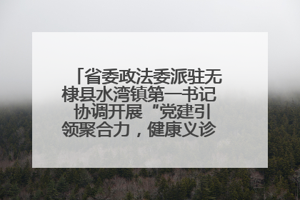 省委政法委派驻无棣县水湾镇第一书记 协调开展“党建引领聚合力，健康义诊惠乡亲”义诊活动