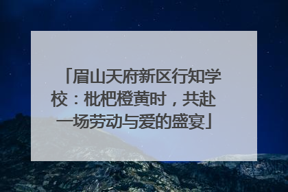 眉山天府新区行知学校：枇杷橙黄时，共赴一场劳动与爱的盛宴