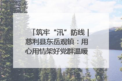 筑牢“汛”防线｜慈利县东岳观镇：用心用情架好党群温暖悠长的“连心桥”