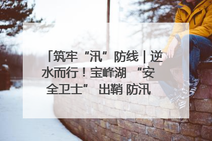 筑牢“汛”防线｜逆水而行！宝峰湖 “安全卫士” 出鞘 防汛应急再添硬核力量