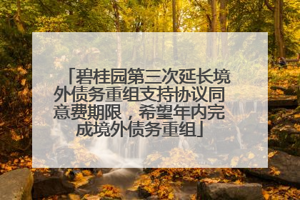 碧桂园第三次延长境外债务重组支持协议同意费期限，希望年内完成境外债务重组