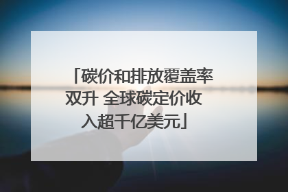 碳价和排放覆盖率双升 全球碳定价收入超千亿美元