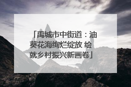 禹城市中街道：油葵花海绚烂绽放 绘就乡村振兴新画卷