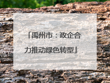 禹州市：政企合力推动绿色转型