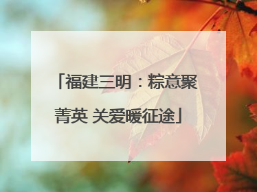 福建三明：粽意聚菁英 关爱暖征途
