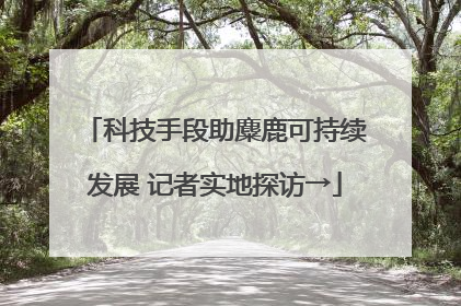 科技手段助麋鹿可持续发展 记者实地探访→