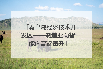 秦皇岛经济技术开发区——制造业向智能向高端攀升
