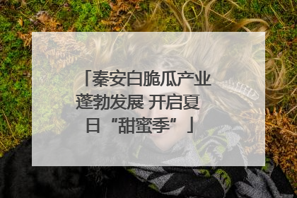 秦安白脆瓜产业蓬勃发展 开启夏日“甜蜜季”