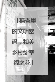 稻香里的文明密码：和美乡村绽幸福之花