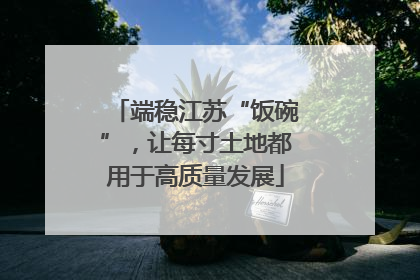 端稳江苏“饭碗”，让每寸土地都用于高质量发展