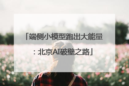 端侧小模型跑出大能量：北京AI破壁之路