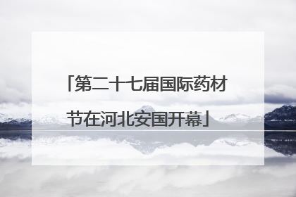 第二十七届国际药材节在河北安国开幕