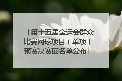 第十五届全运会群众比赛网球项目（单项）预赛决赛圈名单公布