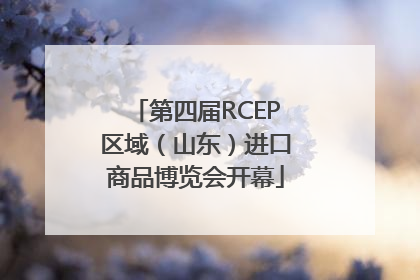 第四届RCEP区域（山东）进口商品博览会开幕