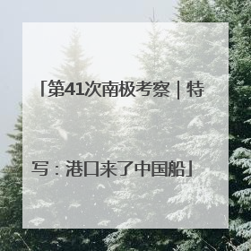 第41次南极考察｜特写：港口来了中国船