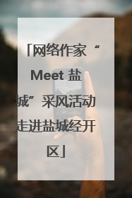 网络作家“Meet 盐城”采风活动走进盐城经开区