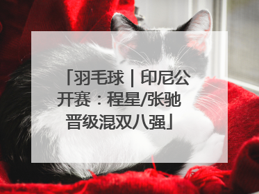 羽毛球｜印尼公开赛：程星/张驰晋级混双八强