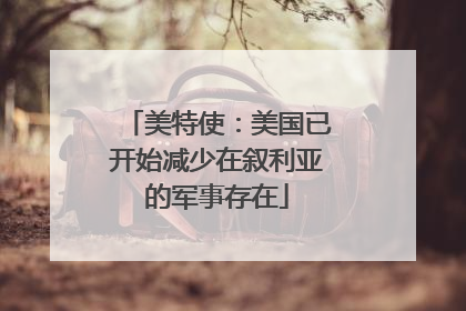 美特使：美国已开始减少在叙利亚的军事存在