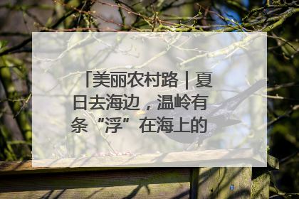 美丽农村路｜夏日去海边，温岭有条“浮”在海上的公路你去过吗？